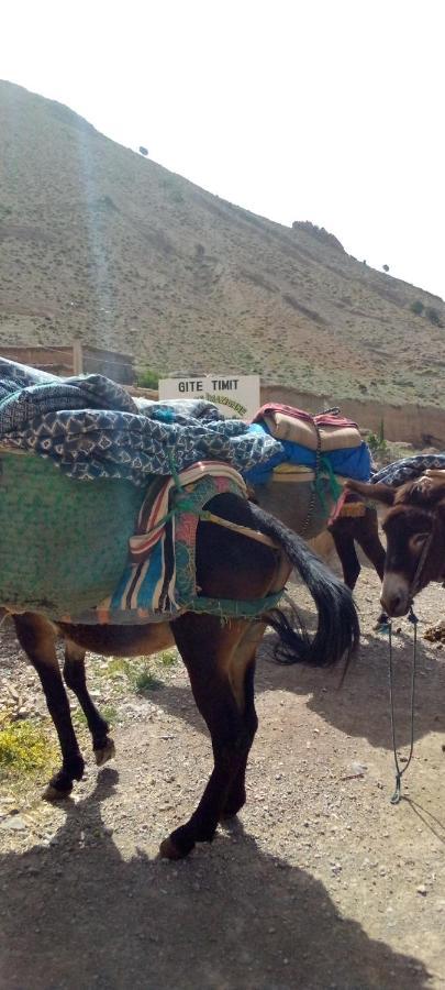 Gite timmit la maison imazighan Azilal Extérieur photo